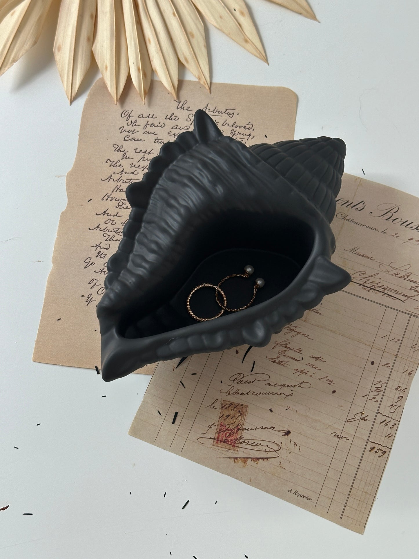 Muschelschale/-Kerze