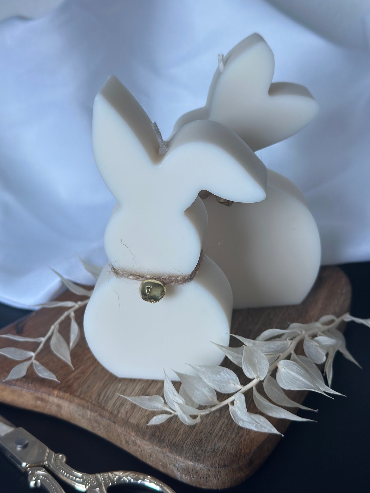 Bunny Silhouette