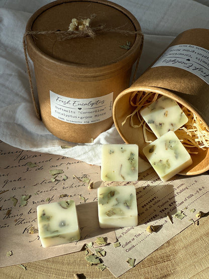 Duftmelts „CornerGlow“ Duftrichtung „Fresh Eucalyptus“
